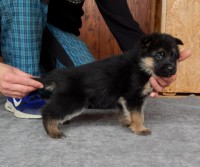 /album/a5-weeks1/a5tyzdnov-f-071-jpg/